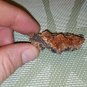 40.01 gram Vanadinite Crystal