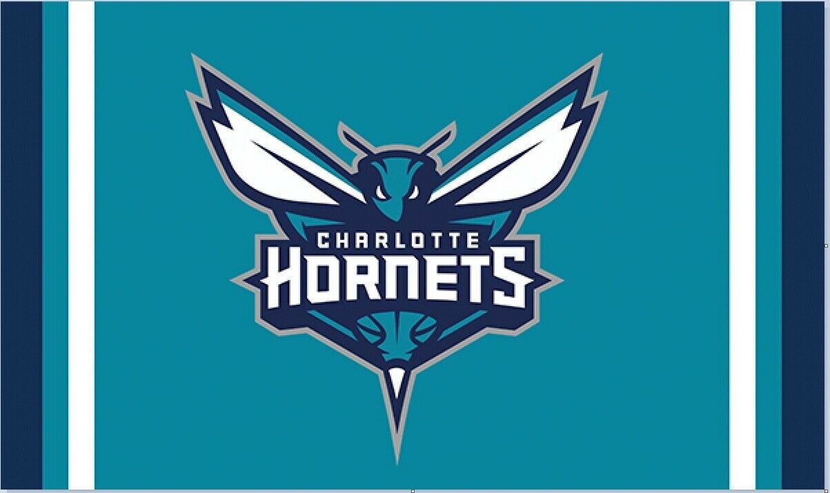 Charlotte Hornets Flag 3x5ft Banner Polyester Basketball hornets001