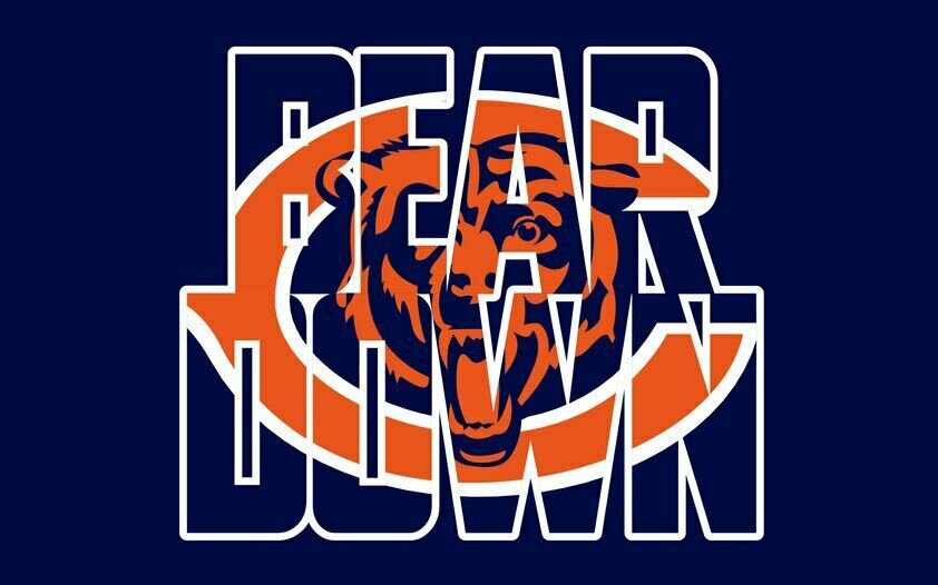 Chicago Bears Flag 3x5ft Banner Polyester American Football Bears051