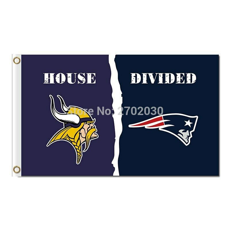 Minnesota Vikings Flag 3x5ft Banner Polyester American Football Vikings011