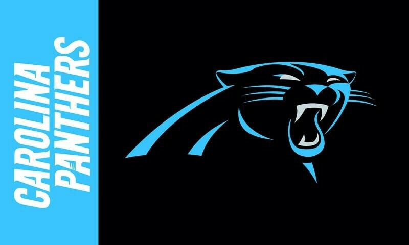 Carolina Panters Flag 3x5ft Banner Polyester American Football Panthers034