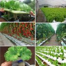 Potassium N sallt--peter 1.7 lb. Agricultural Fertilizer  Hydroponic all purpose