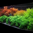 POTASSIUM Nitrate hydroponic fertilizer 1.5 lb saltpeter for plants (aquarium) POTASSIUM Nitrate hydroponic fertilizer 1.5 lb saltpeter for plants (aquarium)