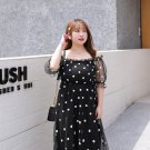 Polka Dot Mesh Dress