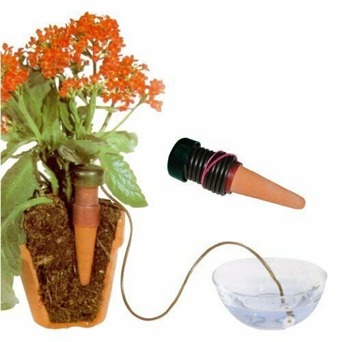6 Automatic Water Self Watering Spikes Waterer Indoor Outdoor Plant Eco Friendly