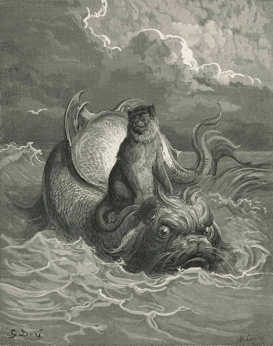Gustave Dore The Monkey And The Dolphin  8x11" CANVAS art Print
