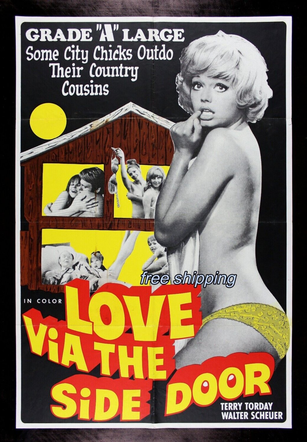 Love via side door. VINTAGE ADULT FILM MOVIE POSTER PRINT 8'5x11 photo paper