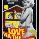Love via side door. VINTAGE ADULT FILM MOVIE POSTER PRINT 8'5x11 photo paper