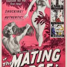 The Mating Urge. A VINTAGE ADULT FILM MOVIE POSTER PRINT 8'5x11 photo paper