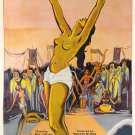 Wild women of Borne.  A VINTAGE ADULT FILM MOVIE POSTER PRINT 8'5x11 photo paper