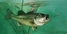 Lures.ecrater.com