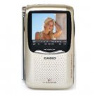 Casio EV-570 2.5" Active Matrix LCD Hand Held Color Personal TV