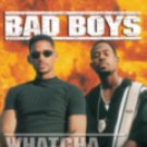 Bad Boys: UMD Video for Sony PSP