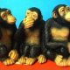 WEIRD STRANGE & UNUSUAL ITEMS
