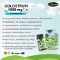 AuswellLife Colostrum Ovale Life milk Natural High Quality 1000mg 60Capsules