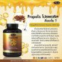 Auswelllife Propolis 1000 Mg.supplements Skin Is Radiant Reduce Wrinkles.