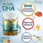 Ausway Smart ALGAL DHA 90 Softgel Vitamin Brain Supplement For childen