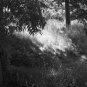 gray world