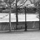 park bench gray scale