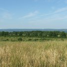 the old land