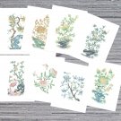 Floral Set of 8 Postcards - Card gift