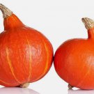 25 Ambercup Squash Seeds for Garden Planting