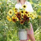 Bulk Sunny - Sunflower Seed Mix