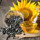 Bulk Sunflower Seeds - Black Oil Microgreen