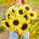 Bulk Sunflower Seeds - Lemon Queen