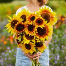 Bulk Sunflower Seeds - Ring of Fire