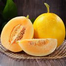 Jinxiangyu Muskmelon Seeds