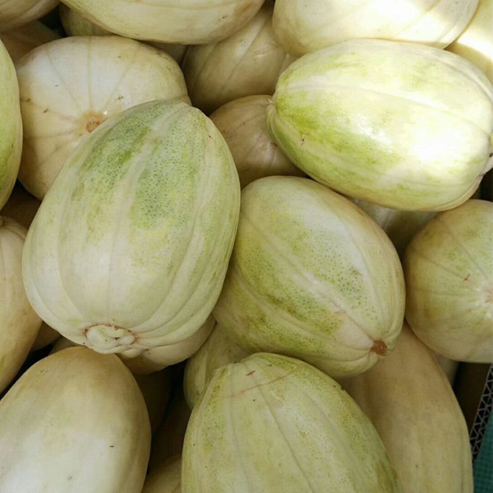 Tianfei Sweet Melon Seeds