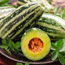 Extremely Sweet Melon Seeds