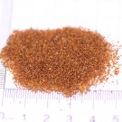Spike Speedwell Seeds, #Ver01 Blue