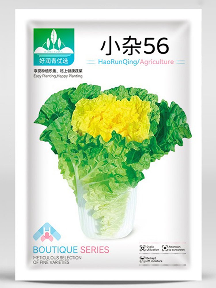 'Xiao Za 56' Fast-Growing Yellow Heart Chinese Cabbage, Ideal for Dense Planting, Heat-Resistant, Cy