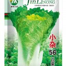 'Xiao Za 56' Early-Maturing Yellow Heart Chinese Cabbage, Heat-Resistant, Dense Planting, 55-Day Gro