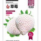 Cream White Strawberry Seeds – Year-Round Container Variety for Indoor & Outdoor Growing
