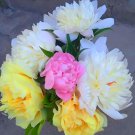 Peony Seeds - Premium Collection for Stunning Blooms, Mixed 'Sanmao' Series
