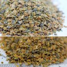 Bellfarm® Dwarf Matthiola Incana Mixed Seeds
