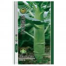 Jingyan® Huge Stem Gai Lan Seeds