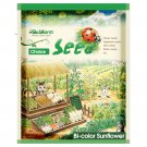Bellfarm® Bi-Colour Sunflower Seeds (90cm Tall)