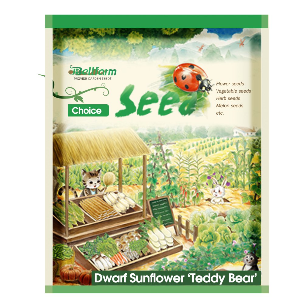 'Teddy Bear' Dwarf Sunflower Seeds (30cm Tall)