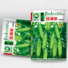 Hanging Beauty: Tangshan's Autumn Cucumber Seeds