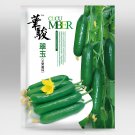 Jewel of the Netherlands – Thornless Cucumber Seeds