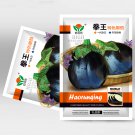 Black Beauty Eggplant Seeds