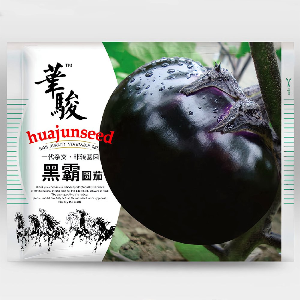 Garden Noir: Explore the World of Black Round Eggplant Seeds
