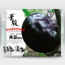Garden Noir: Explore the World of Black Round Eggplant Seeds