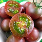 Garden Jewels: 5 Bags (100 Seeds / Bag) of 'Purple Pearl' Cherry Tomatoes