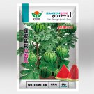 5 Bags (50 Seeds / Pack) of 'Apis Forea' Series Bonsai Watermelon Seeds