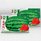 5 Bags (25 Seeds / Bag) of 'Lanzhou P2' Series: Large-Fruit, Traditional Variety, Super Sweet Waterm